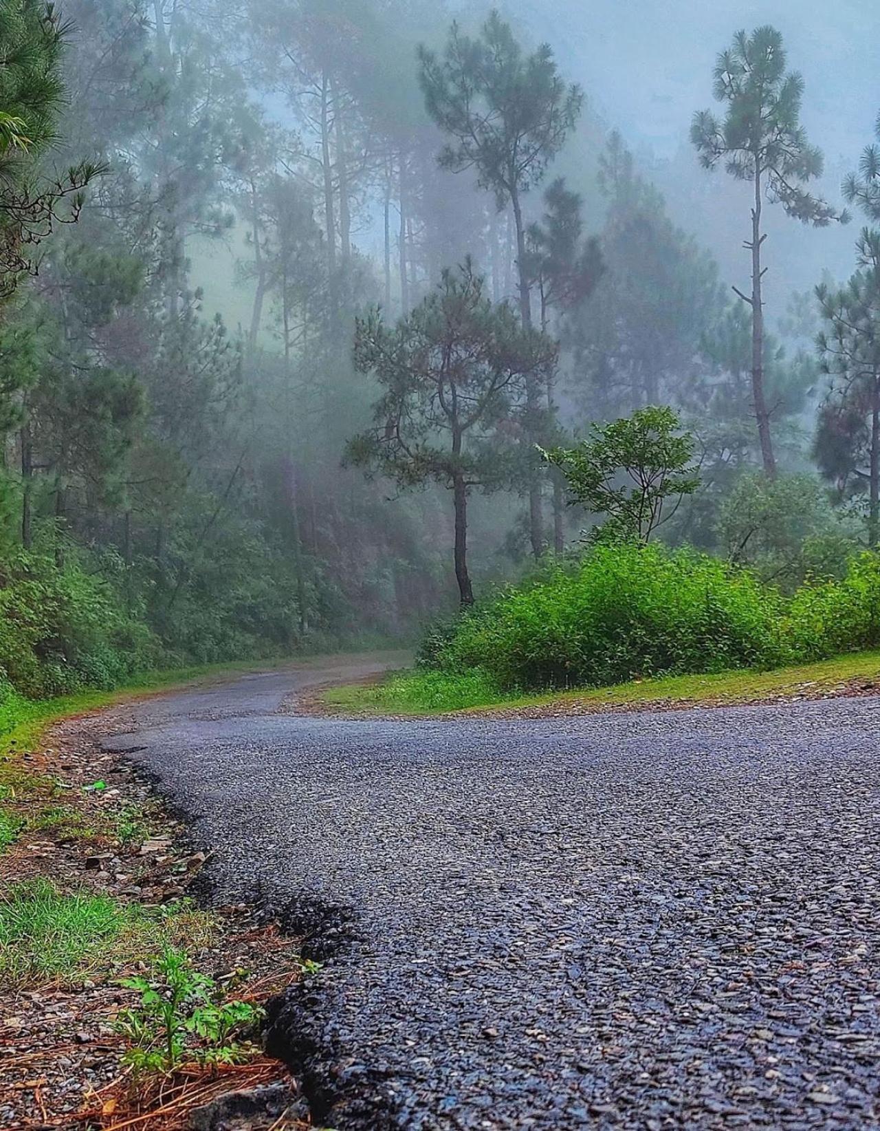 Kabana De Nature Rajgarh  Экстерьер фото